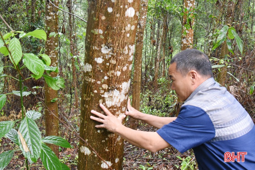 Lưu bản nháp tự động